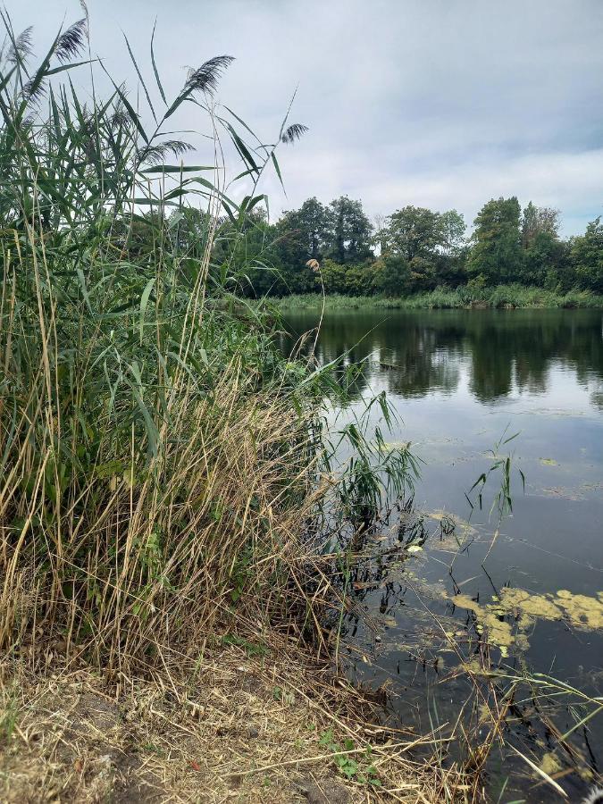 Appartement atypique indépendant sur péniche Metz Exterior foto