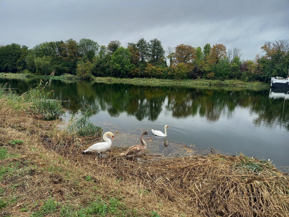 Appartement atypique indépendant sur péniche Metz Exterior foto